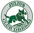 DRESAJ SPORTIV JULIUS