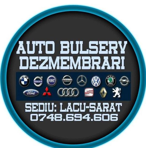 AUTO BULSERV DEZMEMBRARI