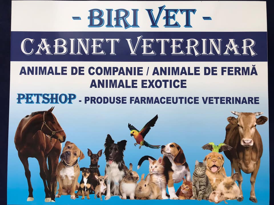 BIRI VET COM SRL