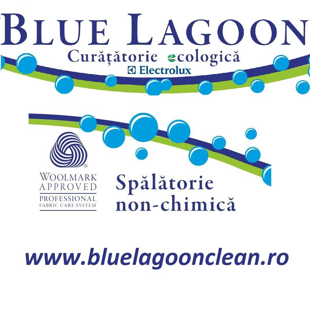 BLUE LAGOON CLEAN SRL