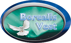 BOREALIS VEST SRL