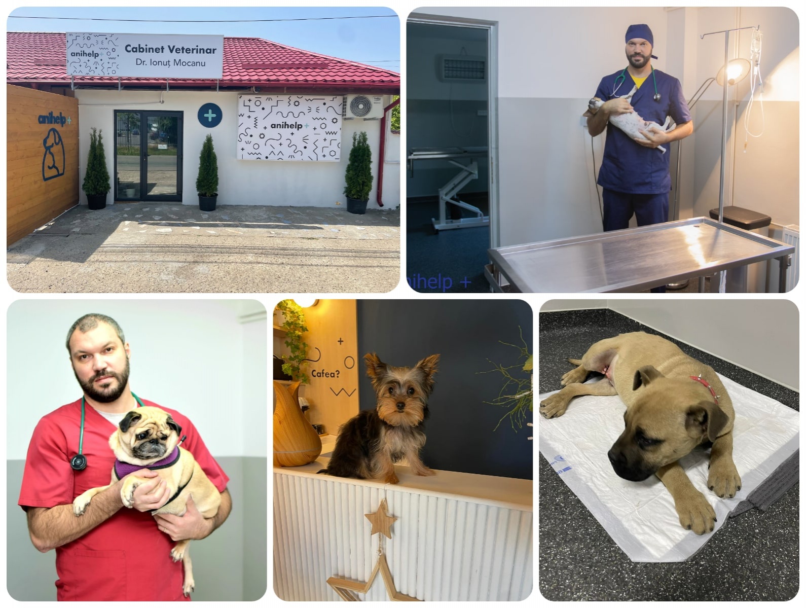 Cabinet Veterinar DR. MOCANU IONUT