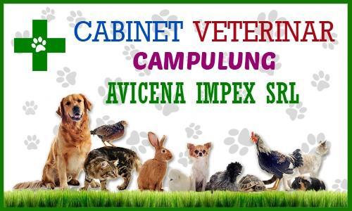 Cabinet Veterinar Avicena Impex S.R.L