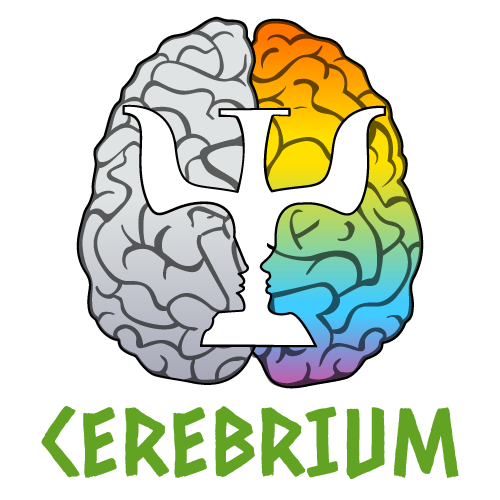 CEREBRIUM SRL