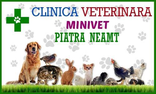 Clinica Veterinara MINIVET