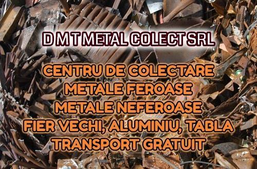 D M T METAL COLECT SRL