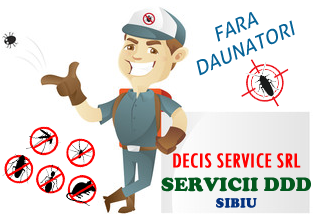 DECIS SERVICE SRL