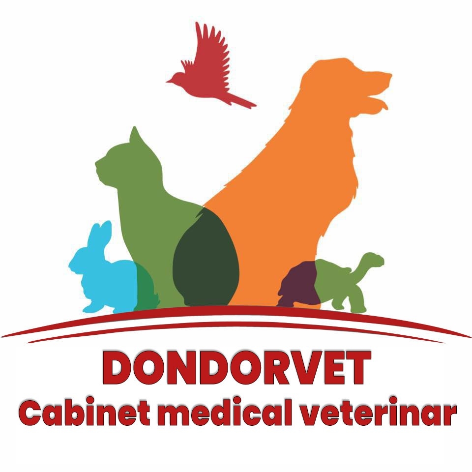 DONDORVET SRL