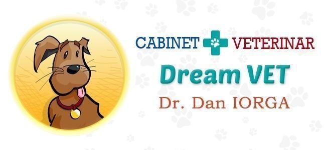 DREAM VET SRL