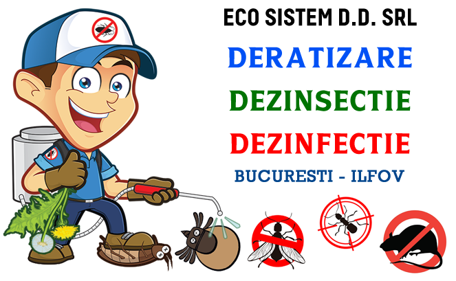 ECO SISTEM D.D. SRL