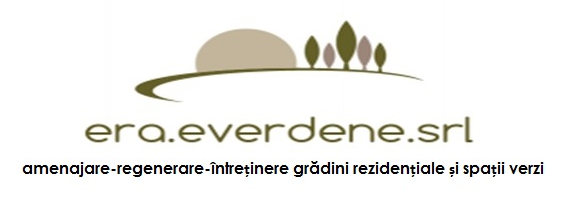 ERA EVERDENE SRL