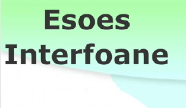 ESOES SERV S.R.L.