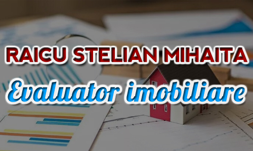 Evaluator - Raicu Stelian Mihaita