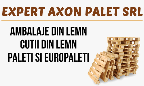 EXPERT AXON PALET SRL