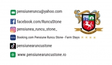 Pensiunea Runcu Stone