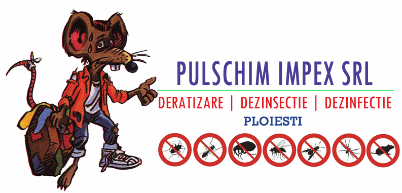 PULSCHIM IMPEX SRL