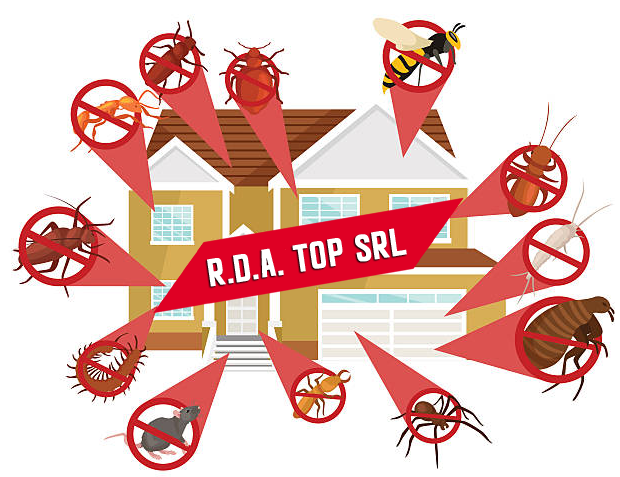 R.D.A. TOP SRL