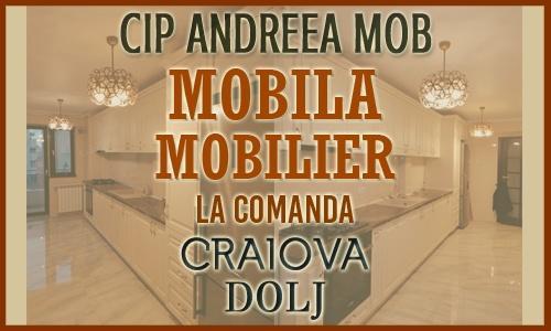 SC CIP ANDREEA MOB SRL