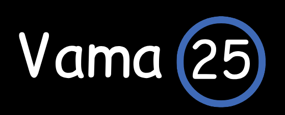 VAMAYAMIR SRL