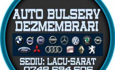 AUTO BULSERV DEZMEMBRARI