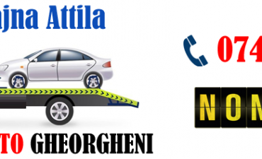 BAJNA ATTILA PFA