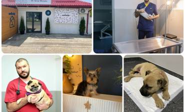 Cabinet Veterinar DR. MOCANU IONUT