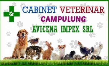 Cabinet Veterinar Avicena Impex S.R.L