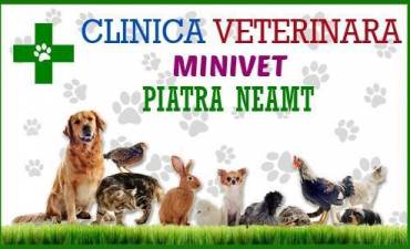 Clinica Veterinara MINIVET