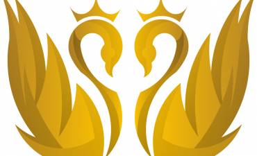 Complex Lebada Barlad