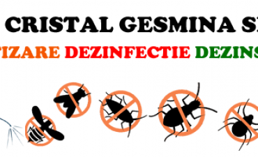 CRISTAL GESMINA SRL