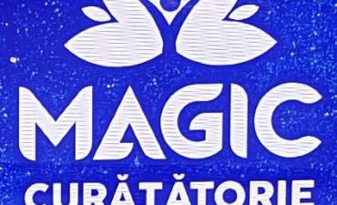 CURATATORIA ECO SILVIA SRL