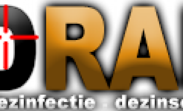 DDD Rapid