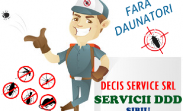 DECIS SERVICE SRL