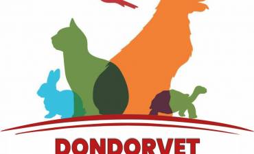 DONDORVET SRL