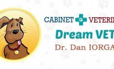 DREAM VET SRL
