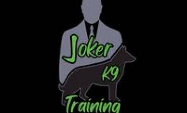 DRESAJ JOKER K9 SRL-D