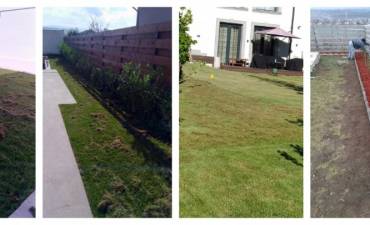 GRADINA VERDE DOROBANT SRL