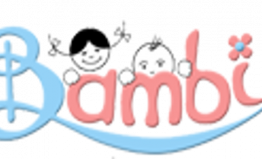 GRADINITA BAMBI
