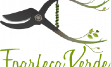 GREEN ART HOLDING SRL