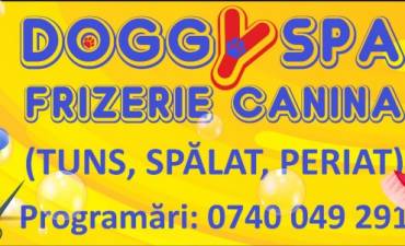 MAFTEI OANA MARIA PFA