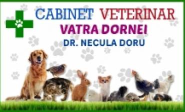 NEGRESCU DORIN-MEDIC GINECOLOG