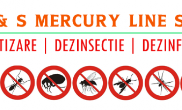 P & S MERCURY LINE SRL