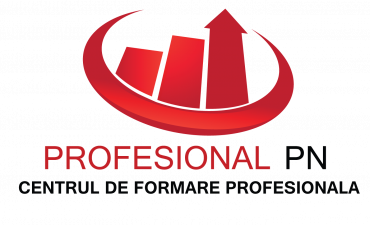 PROFESIONAL P.N. SRL