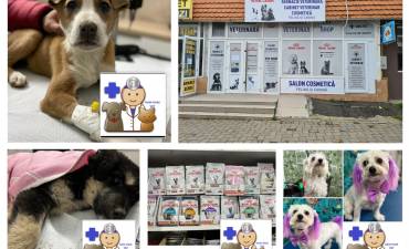 UNIC VET SOLUTION SRL