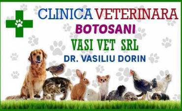 VASI VET SRL